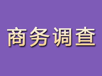 青海商务调查